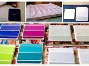 Paint Chip