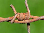 Barbed Wire, From Cowboy Scourge Prized Relic West