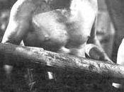 Verdi: Best Galley Years