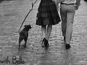 Guest Blogging Walks with Bella Today!
