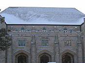 Rapid Growth People Learn Chinese Language