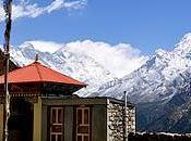 Earthquake Shakes Himalaya