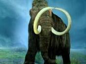 Featured Animal: Woolly Mammoth