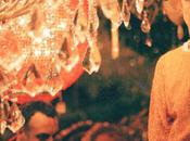 Girls ‘funny Bunny’ Video Cars Special Lady [video]