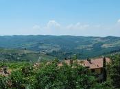 Driving Tuscany Search Chianti