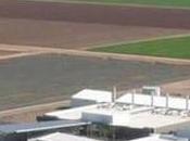 Bigfoot News July 2013