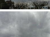 Psychology Colour Black Dark Grey