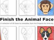 Finish Animal Face Book