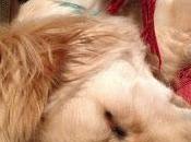 Confidential Medical Results