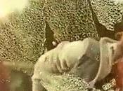 DRAMATIC VIDEO: Narrowly Escapes Heatstroke!