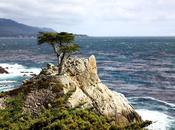 Pebble Beach 17-Mile Drive