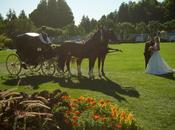 Mackinac Island Wedding with Horse Drawn Carriage