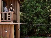 Houses Dwell This Week