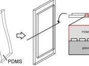 Bioinspired Window-Cooling System Cuts Energy Bills