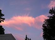 Pink Cloud Over Farmingdale