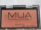 MakeUp Academy Blusher Shade Review,Swatches,FOTD