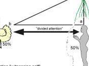 Increasing Presence Deliberatly, Outside Meditation