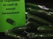 Commit Sexual Harassment with Veggie