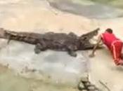 Crocodile Bites Man's Head Trick Gone Wrong (Video)