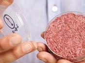 World Watches First Test Tube Beefburger Unveiled