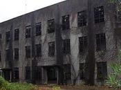 Abandoned Poison Plant Okunoshima Island