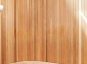 Modern Saunas