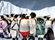 Film Review: Farce Penguins