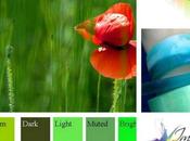 Psychology Colour Green