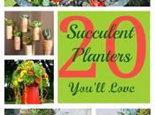 Succulent Planters You’ll Love