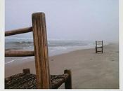 Preparing America: Imagining Migration, Iliana Emilia Garc&amp;iacute;a's Chairs