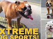 Bulldogs Attend School EXTREME Sports!