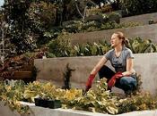 Modern Edible Gardens