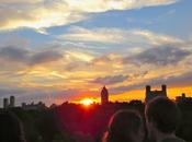 Love Affair with Roof Garden Continues...