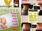 Forever Aloe Products Detox