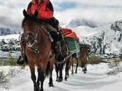 Long Rider Nears Epic Journey Across Americas