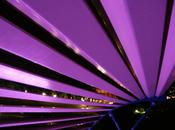 #FriFotos It’s #Electric Boogie Woogie, Woogie!