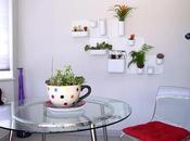 Show Nest Winner Announced