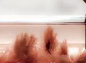 Stylish Modern Teapots