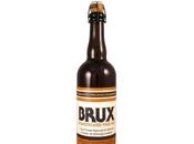 Brux: Domesticate Wild Ale?