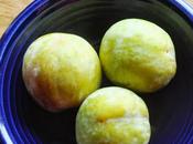 Know About Pluots?