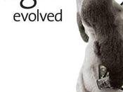 Corning Developes Anti-Bacterial Anti-Reflective Gorilla Glass