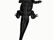 Pusha Featuring Chris Brown "Sweet Serenade" (Prod. Swizz Beatz)