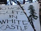 Oregon Call Action: White Castle Treesit Needs Your Help