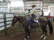 Western States Stockhorse Show Sunday Reining