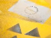 Paper Brand Identity Collateral