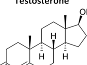 It's Testosterone, Dontcha Know