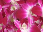 Competition: Bouquet Flowers