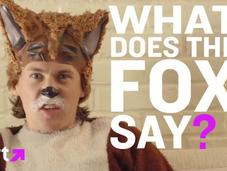 Ylvis “The Fox” Official Music Video Straight Head Scratcher