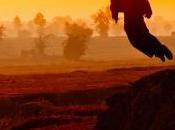 Visualisation Thinkibility Nibble