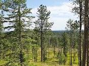 2014 Rogaining World Championships Announce Entry Criteria